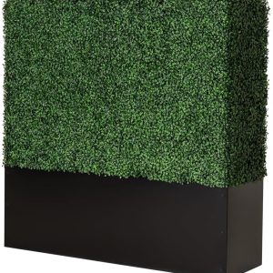 Noir Short Boxwood Hedge Wall available for corporate event rental in Indianapolis